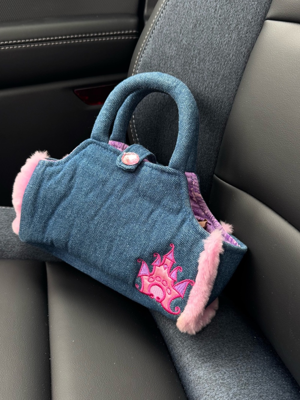 Disney Tote a Tail Pet Carrier